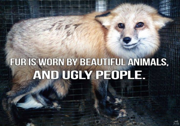 Protest for Animal Rights