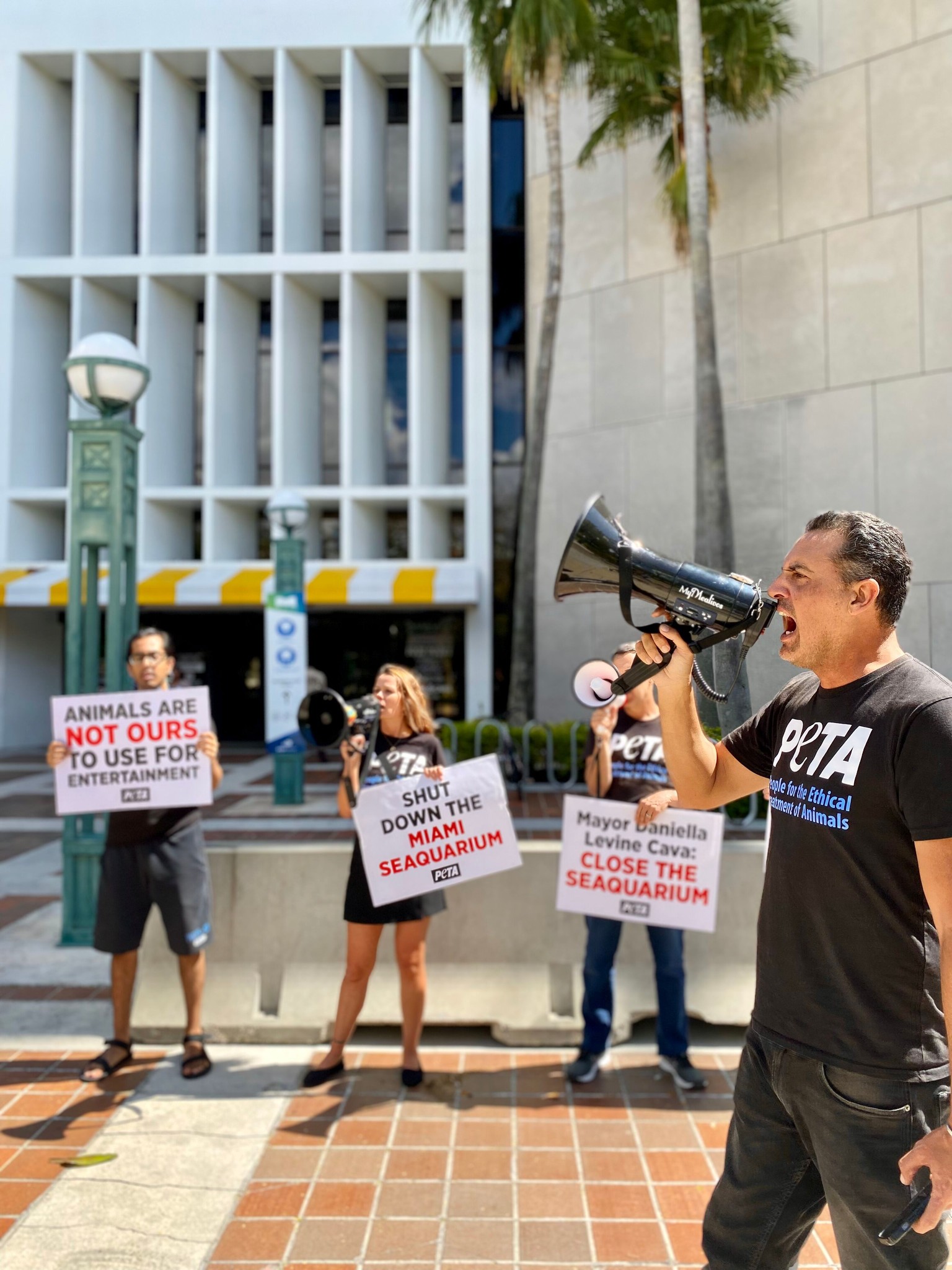 Protest for Animal Rights