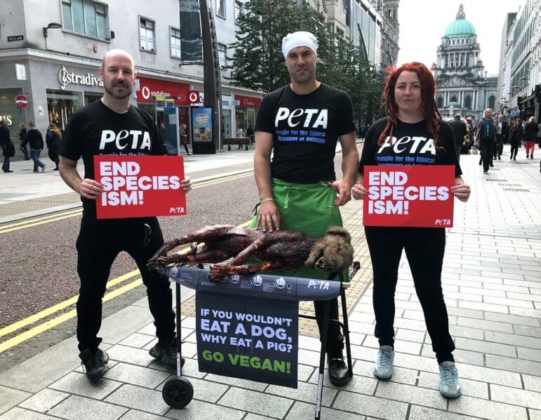 Protest for Animal Rights