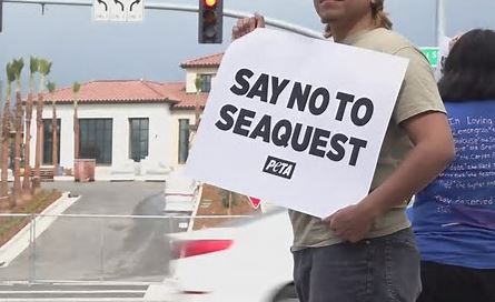 Protest for Animal Rights