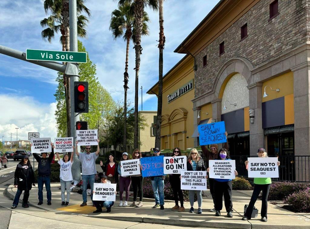 Protest for Animal Rights