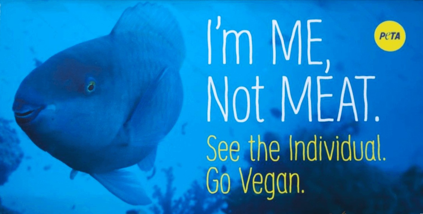 Protest for Animal Rights