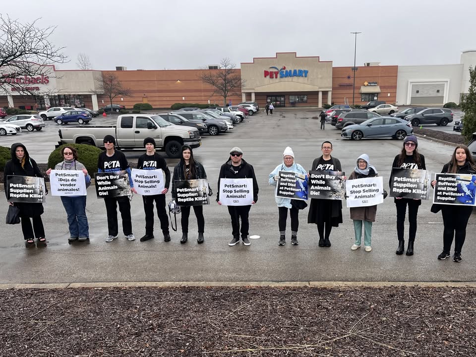 Protest for Animal Rights