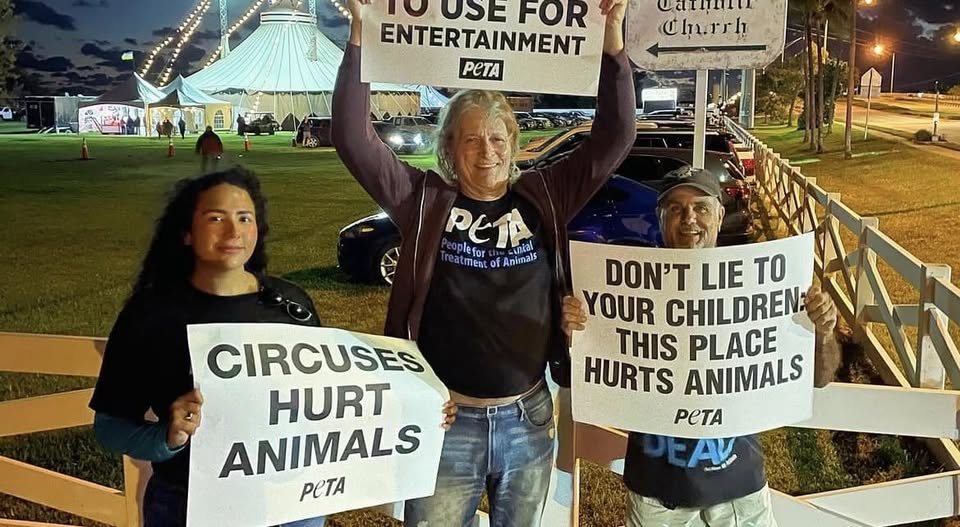 Protest for Animal Rights