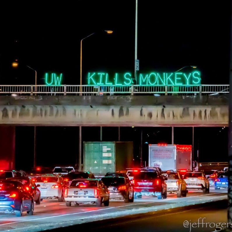 Protest for Animal Rights