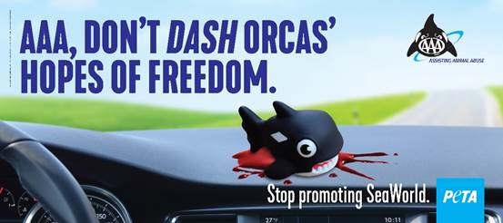 Protest for Animal Rights