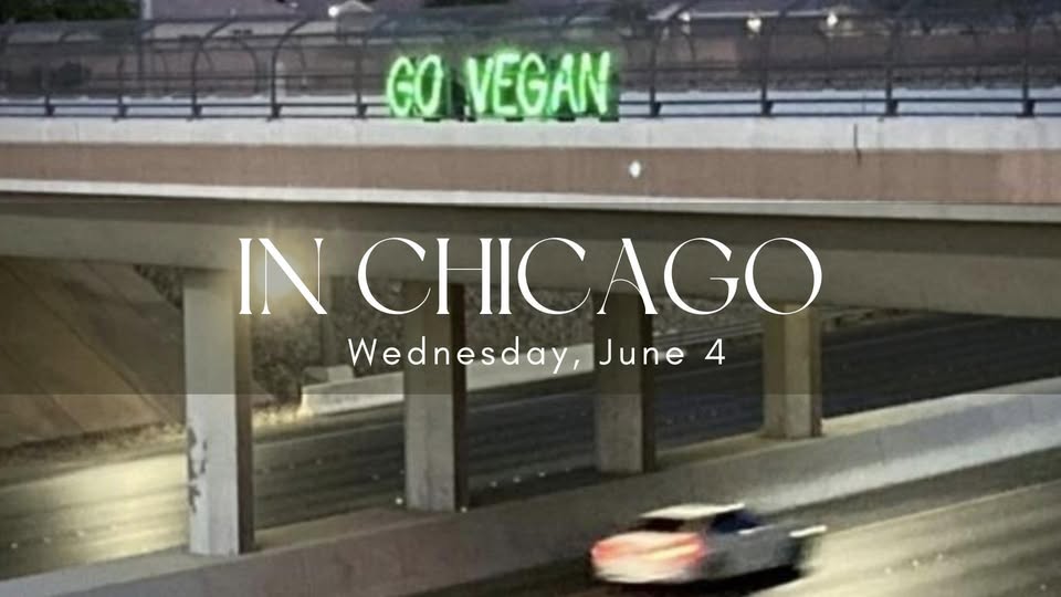 Protest for Animal Rights