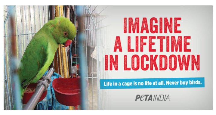 Protest for Animal Rights