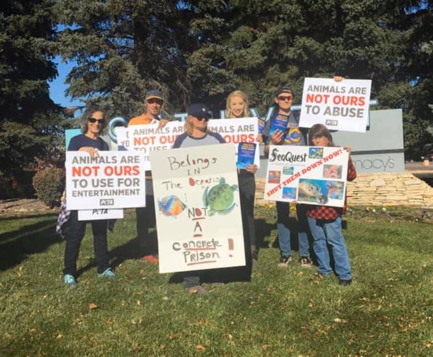 Protest for Animal Rights