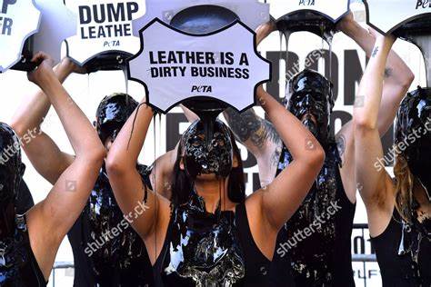 Protest for Animal Rights