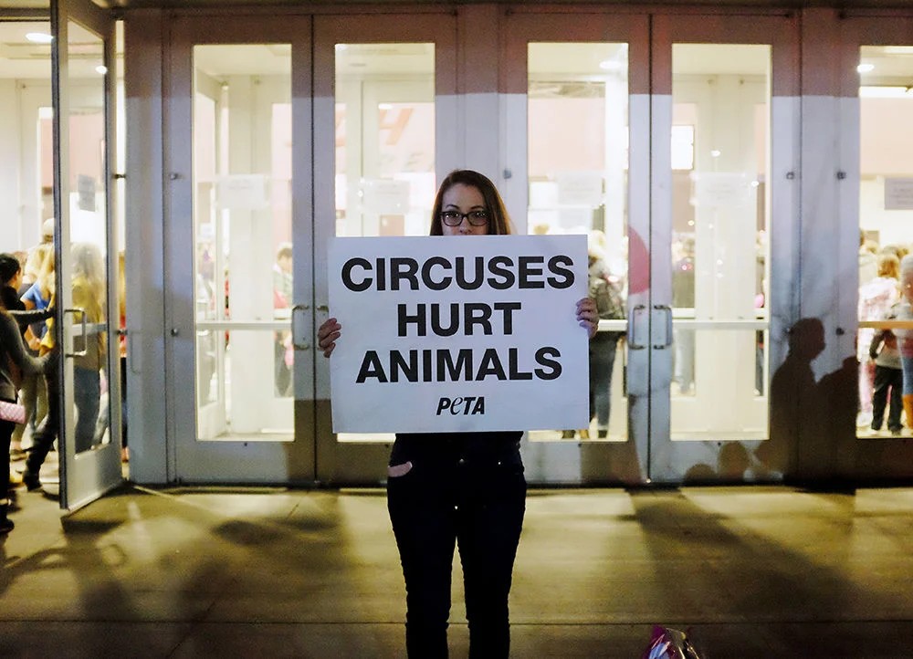 Protest for Animal Rights