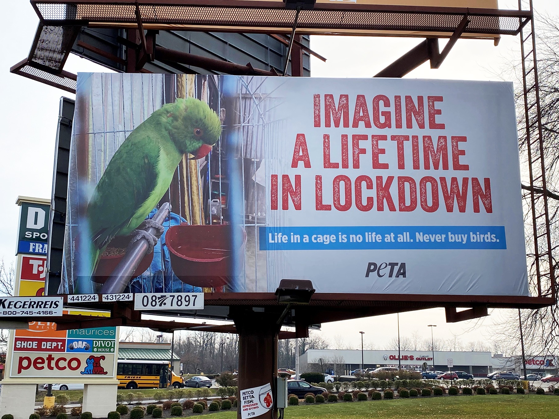 Protest for Animal Rights