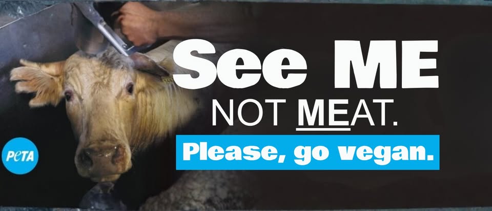 Protest for Animal Rights