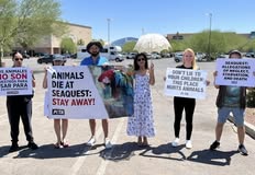 Protest for Animal Rights