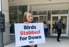 Protest for Animal Rights