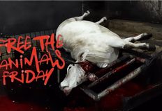 Protest for Animal Rights