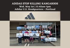 Protest for Animal Rights