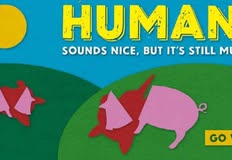 Protest for Animal Rights