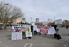 Protest for Animal Rights