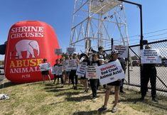 Protest for Animal Rights