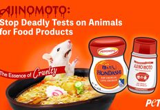 Protest for Animal Rights