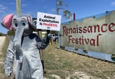 Protest for Animal Rights