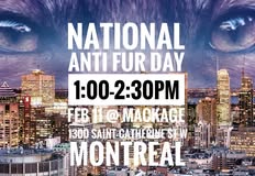 Protest for Animal Rights