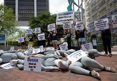 Protest for Animal Rights