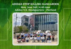 Protest for Animal Rights