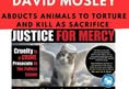 Protest for Animal Rights