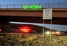 Protest for Animal Rights