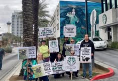 Protest for Animal Rights