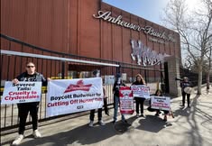 Protest for Animal Rights