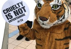 Protest for Animal Rights