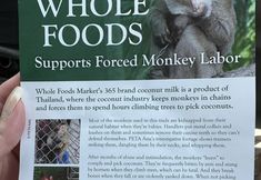 Protest for Animal Rights