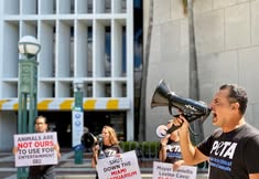 Protest for Animal Rights