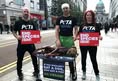 Protest for Animal Rights