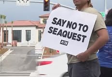 Protest for Animal Rights