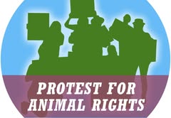 Protest for Animal Rights