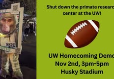 Protest for Animal Rights