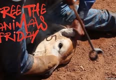 Protest for Animal Rights