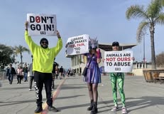 Protest for Animal Rights