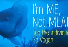 Protest for Animal Rights