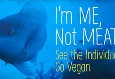 Protest for Animal Rights