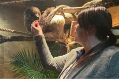 Protest for Animal Rights