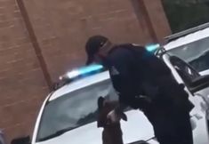 Protest for Animal Rights