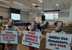 Protest for Animal Rights