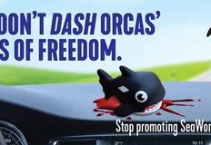 Protest for Animal Rights