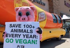 Protest for Animal Rights