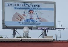 Protest for Animal Rights